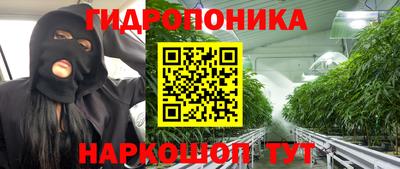 прущие грибы Лесной