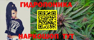 прущие грибы Лесной