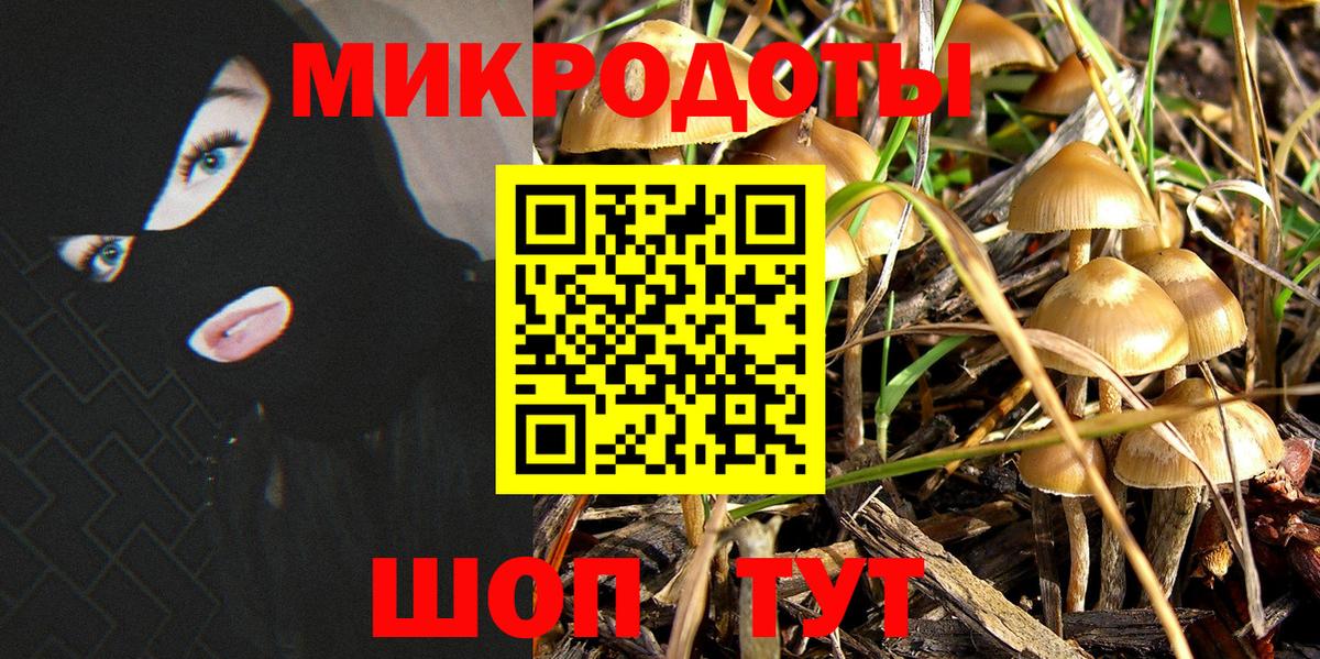 Псилоцибиновые грибы ЛСД Владикавказ